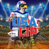 USA Flip game icon